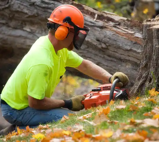 tree services Harbor Springs